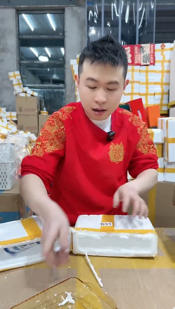 【闪购商品】NS-B91