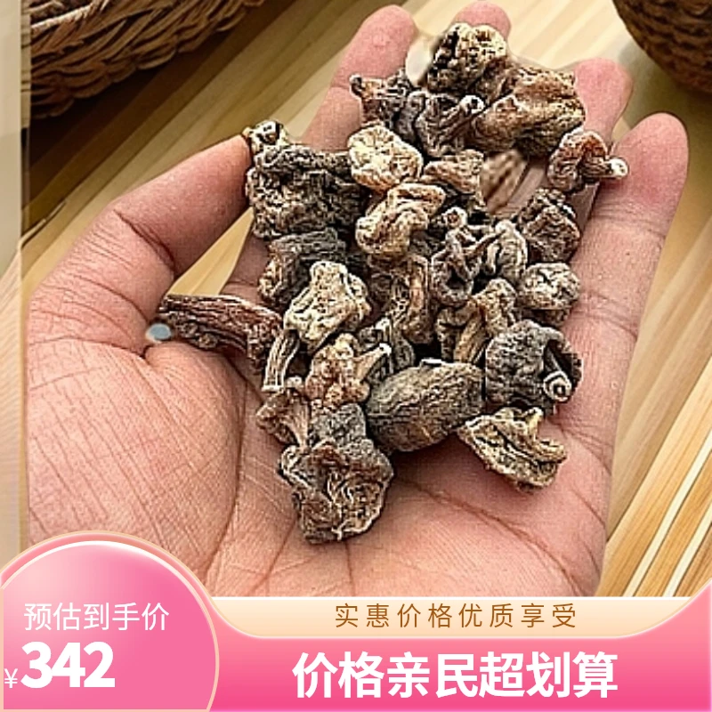 【石斛兰】秋花独蒜