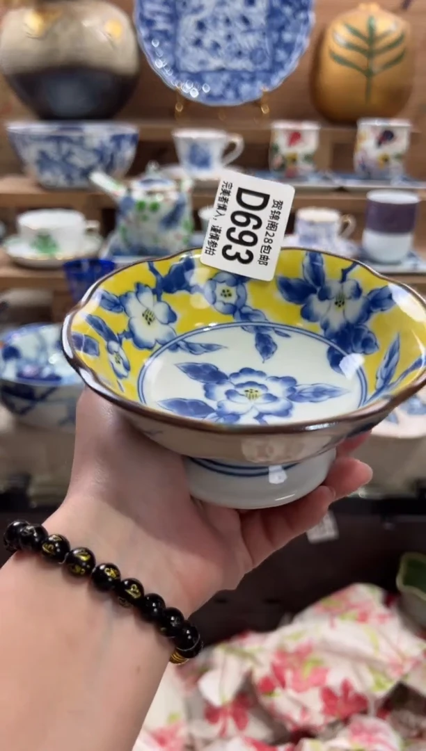瓷片       D693