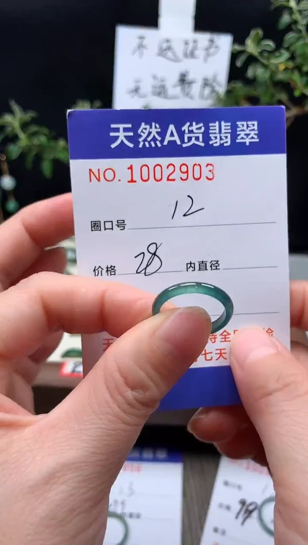未镶嵌戒指翡翠12#