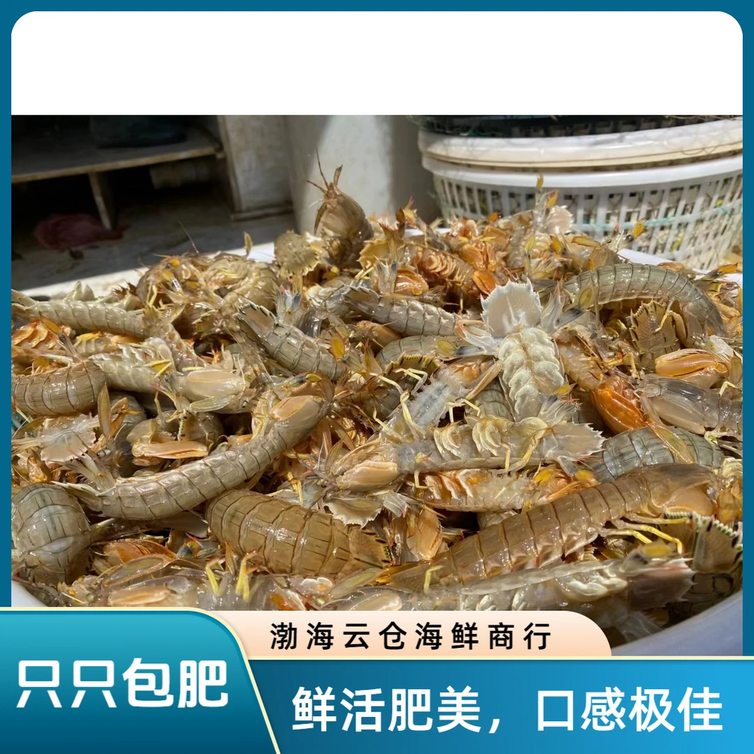【皮皮虾】本海野生黄毛虾爬子 顺丰发货 包鲜不包活