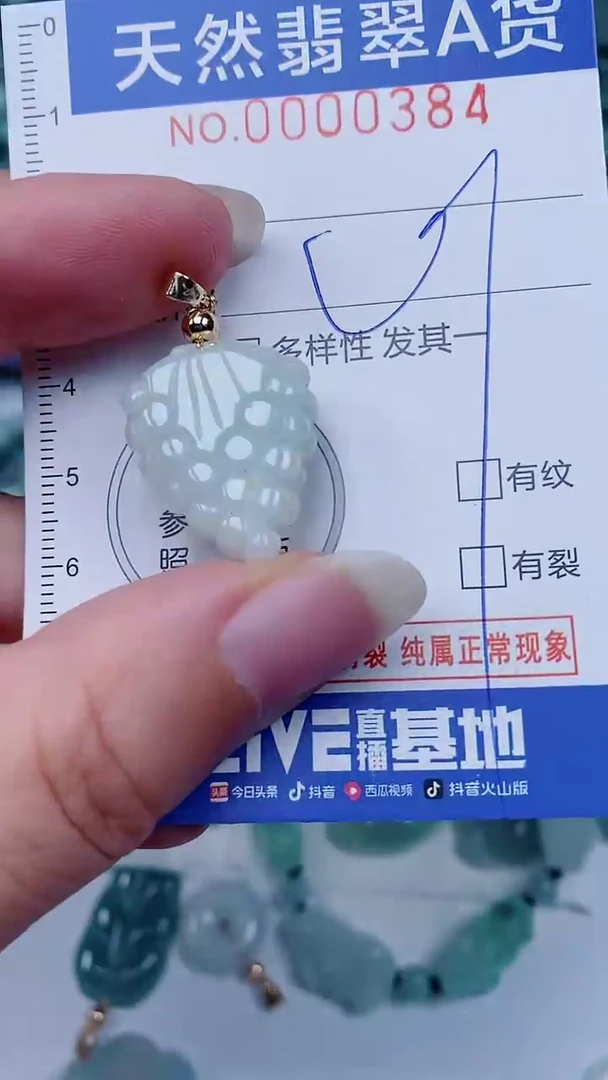 翡翠未镶嵌颈饰00000384