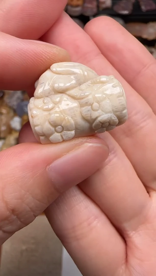 硅化珊瑚（珊瑚玉）未镶嵌颈饰265