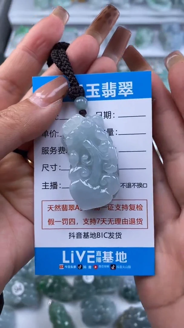 颈饰未镶嵌翡翠口含珠貔貅