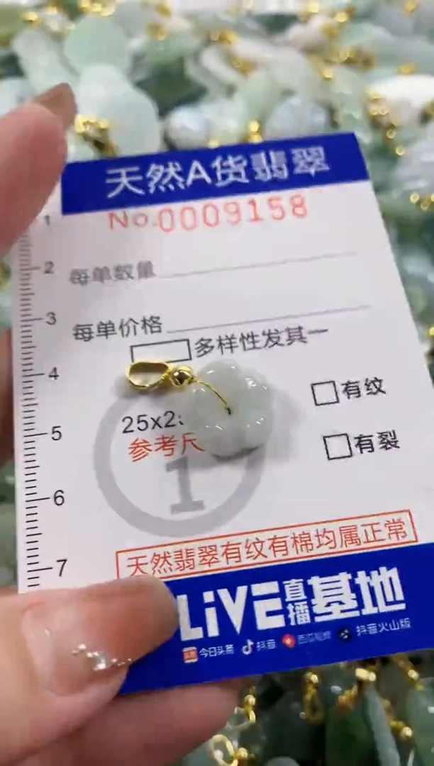 颈饰未镶嵌翡翠天然A货翡翠