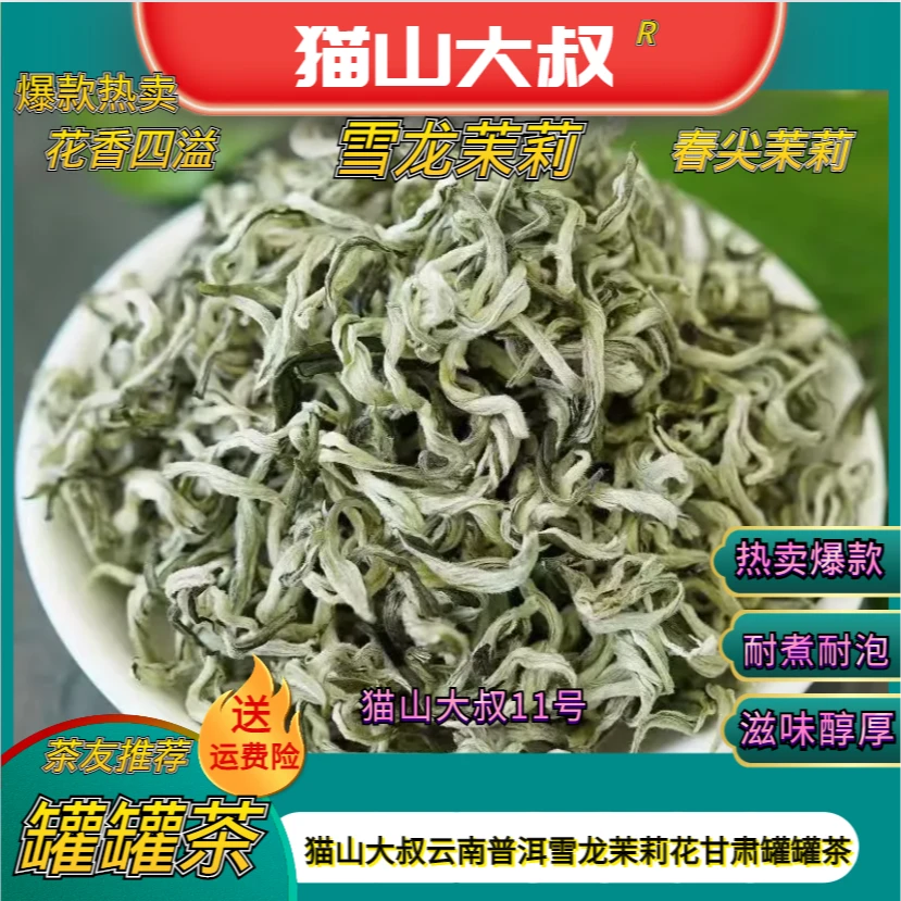 【猫山11号】2025新茶云南春尖大雪龙单芽茉莉花甘肃罐罐茶