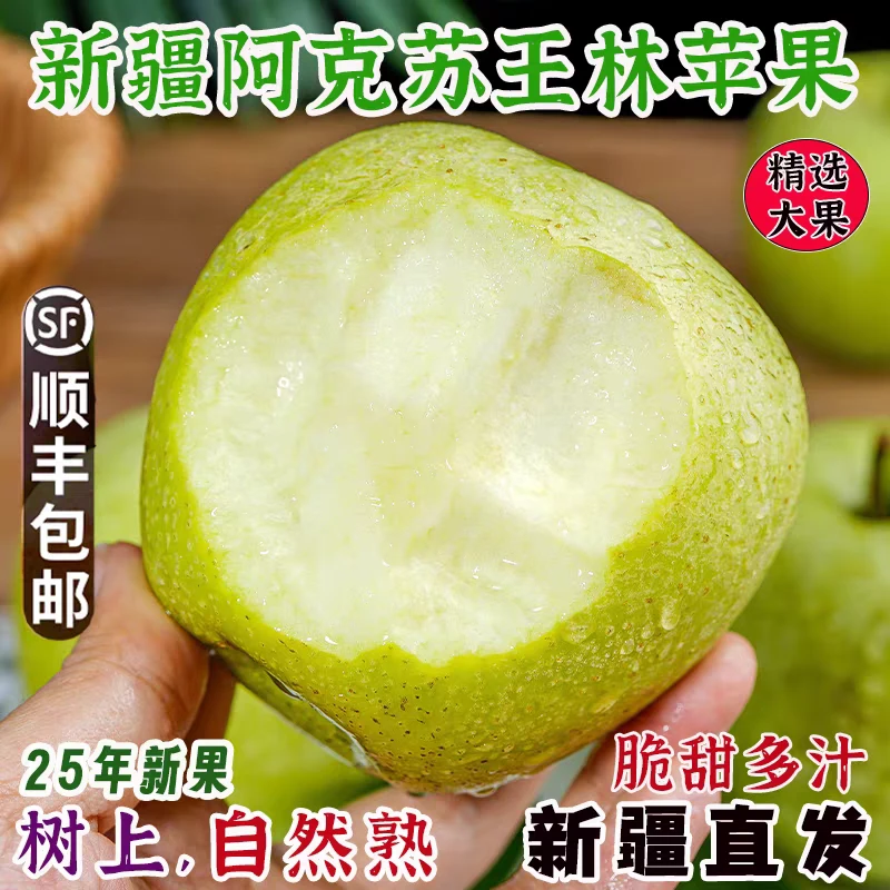 正宗新疆阿克苏王林苹果树上成熟当季新鲜苹果果香浓郁自带兰花香