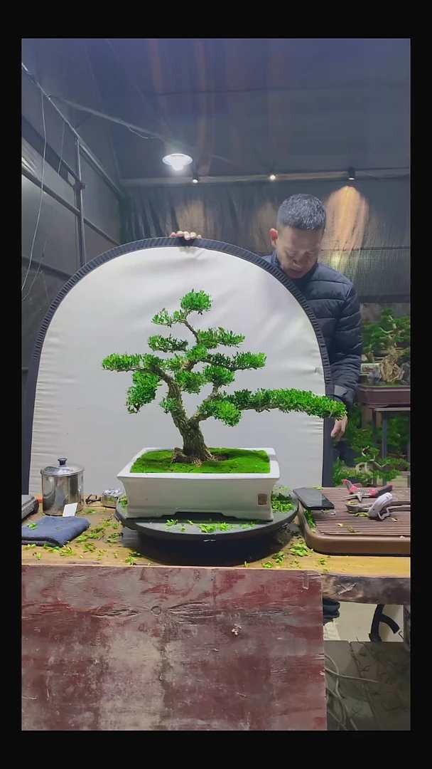 完全开放郑*大111111111