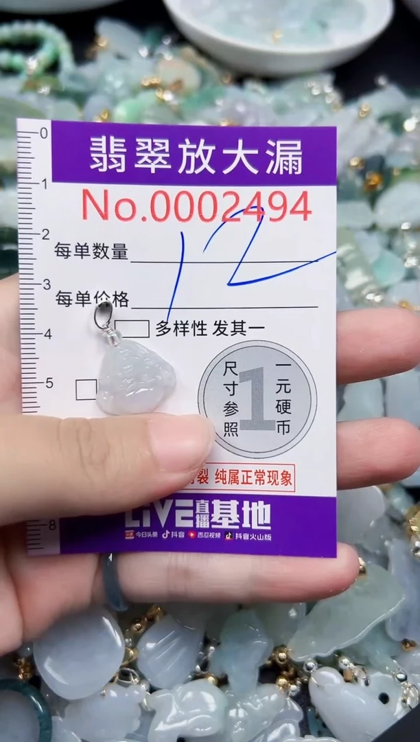 颈饰未镶嵌翡翠2494