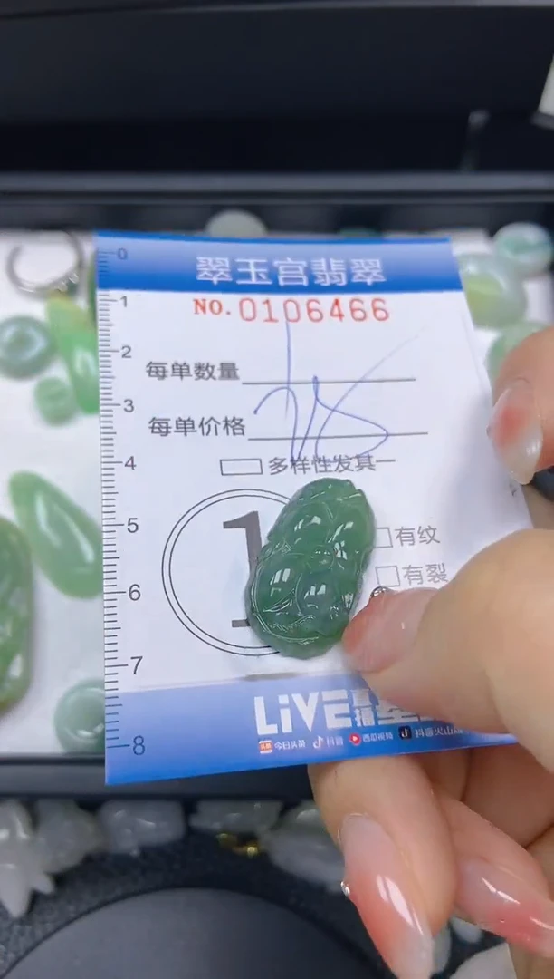 翡翠未镶嵌颈饰闪购0106466