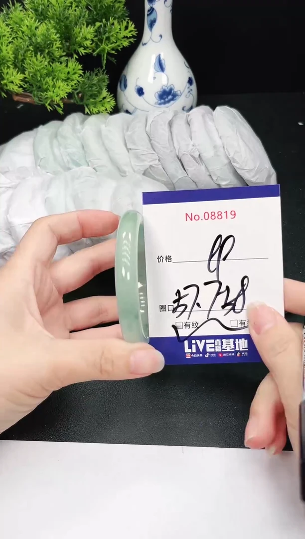 未镶嵌手镯翡翠8819