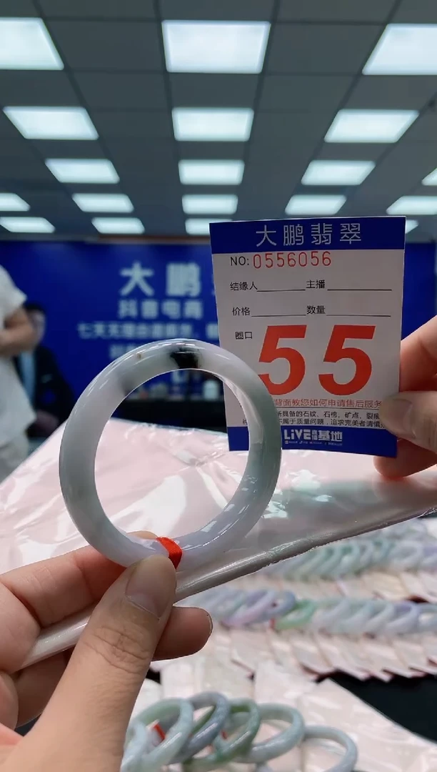 未镶嵌手镯翡翠AAAAAAAAA