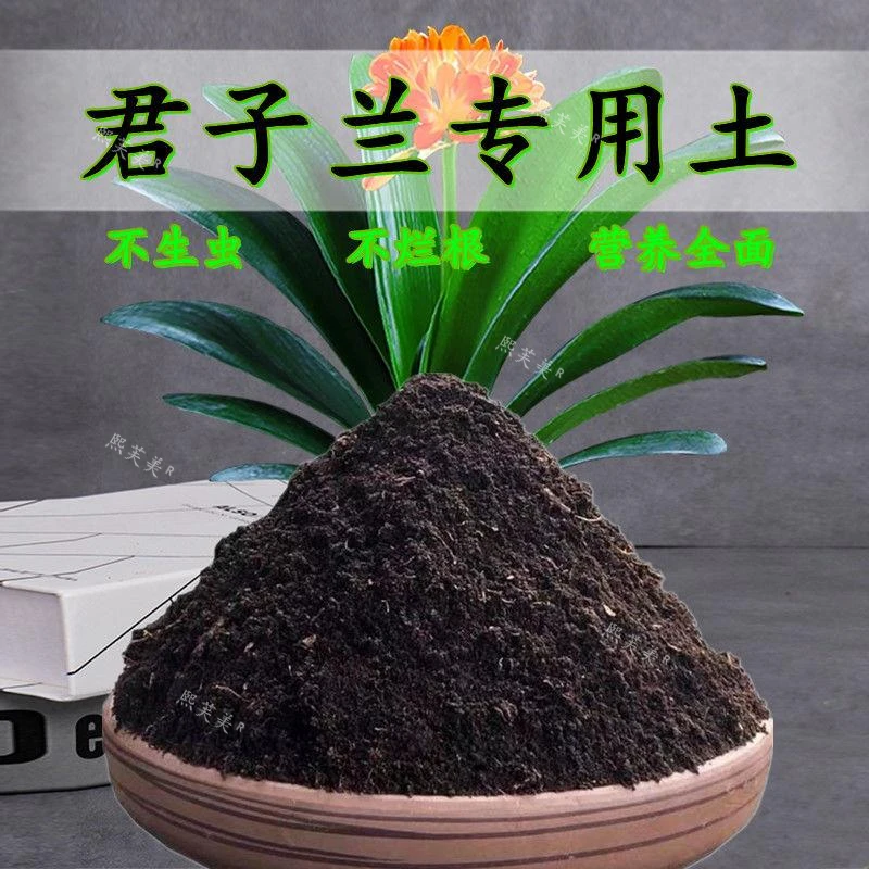 君子兰专用土君子兰营养土盆栽种花有机肥料土壤营养全面种植土