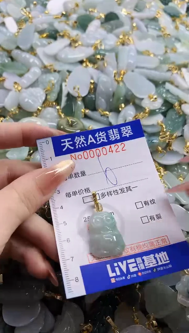 颈饰未镶嵌翡翠天然A货翡翠