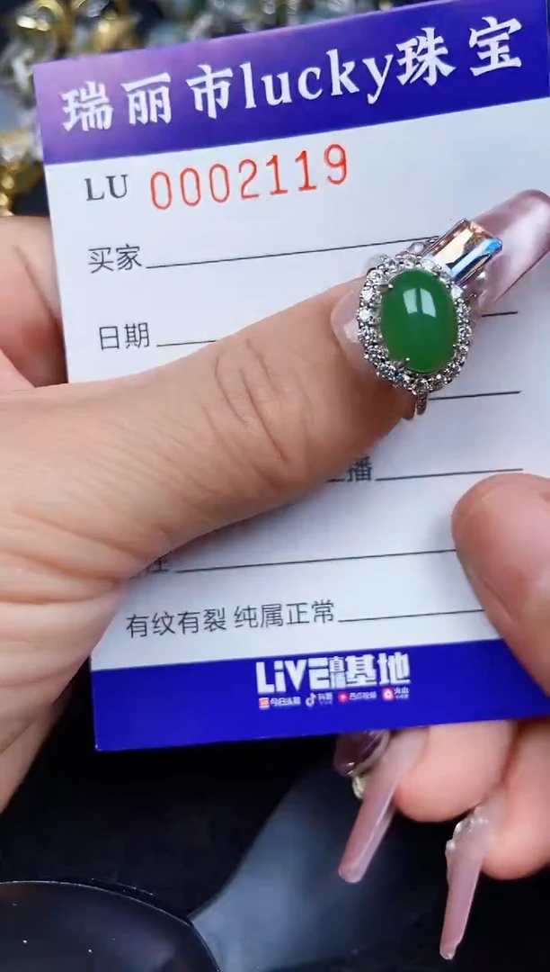 翡翠银S925镶嵌颈饰2119