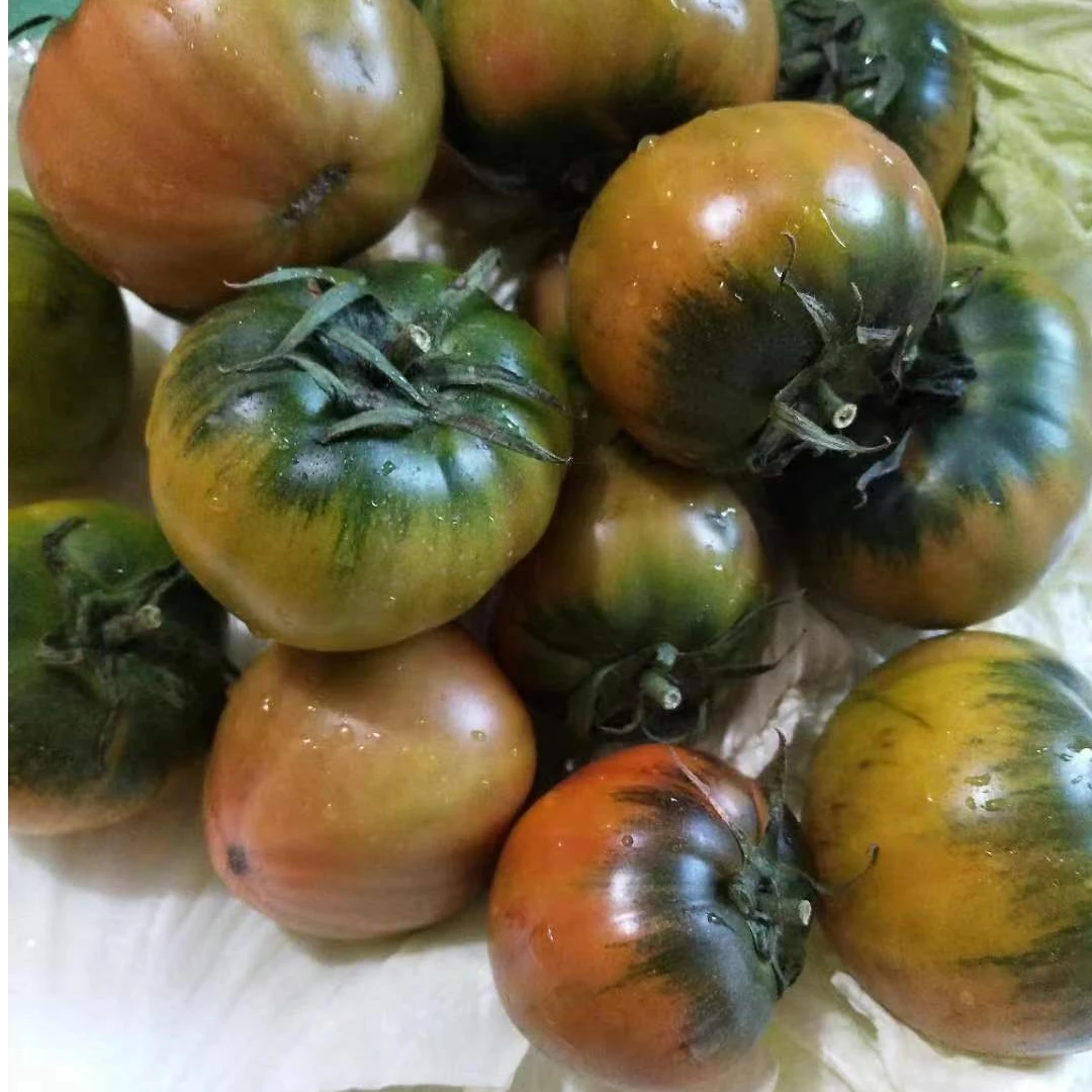 碱地柿子-老秧酸甜口