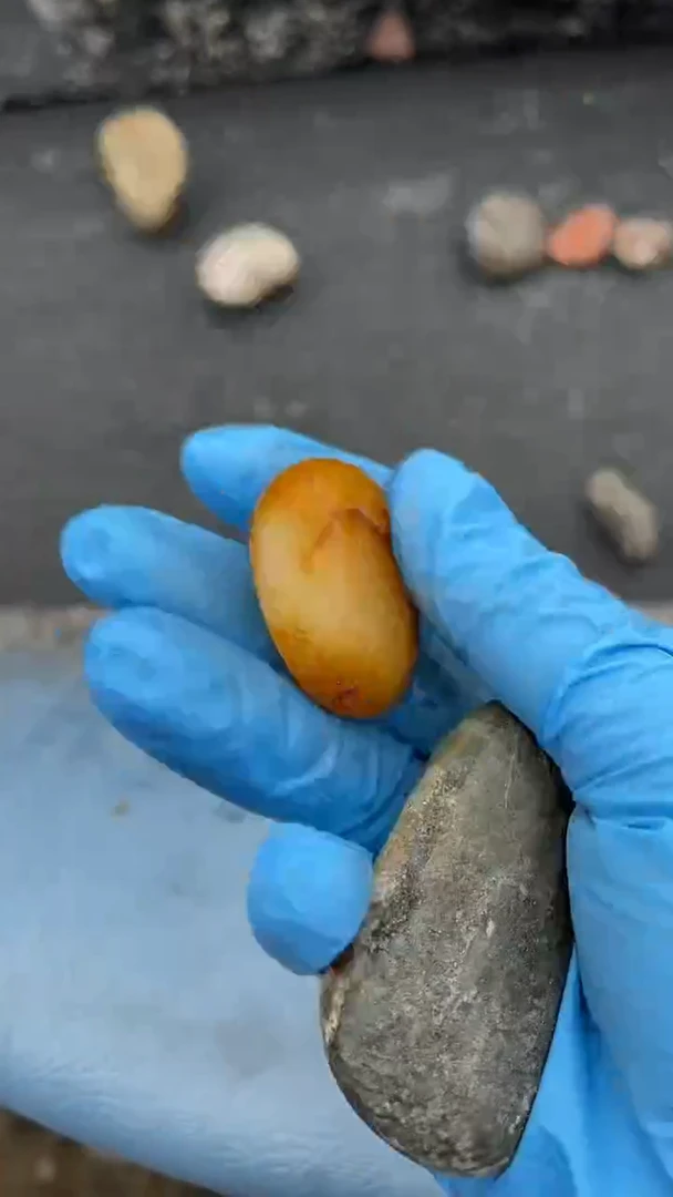 颈饰未镶嵌和田玉（糖玉）知*2