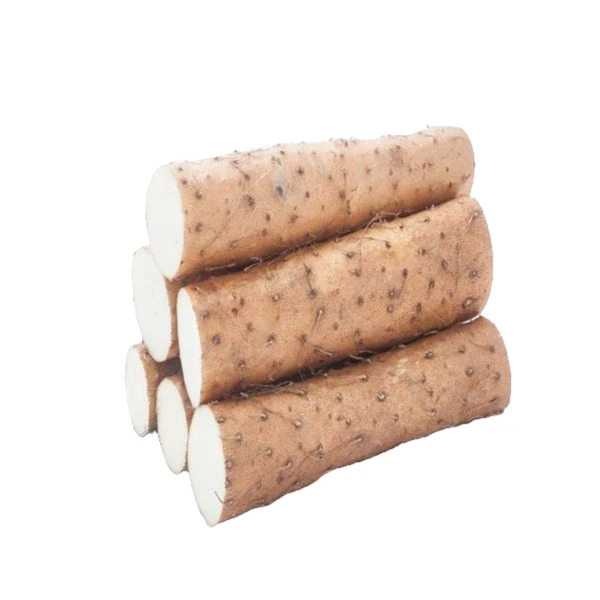 【东胜同城】铁棍山药约2斤