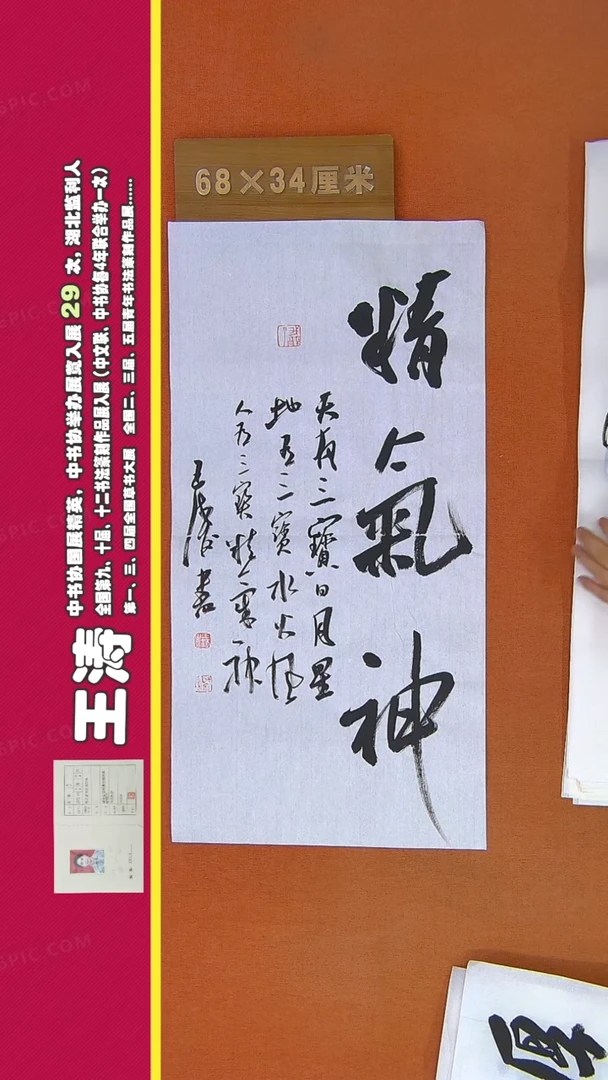 【闪购商品】书法159王涛书法作品