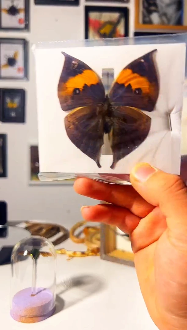 有机玻璃6498489536