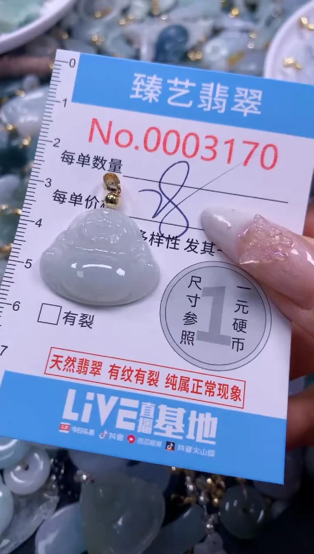 颈饰未镶嵌翡翠3170