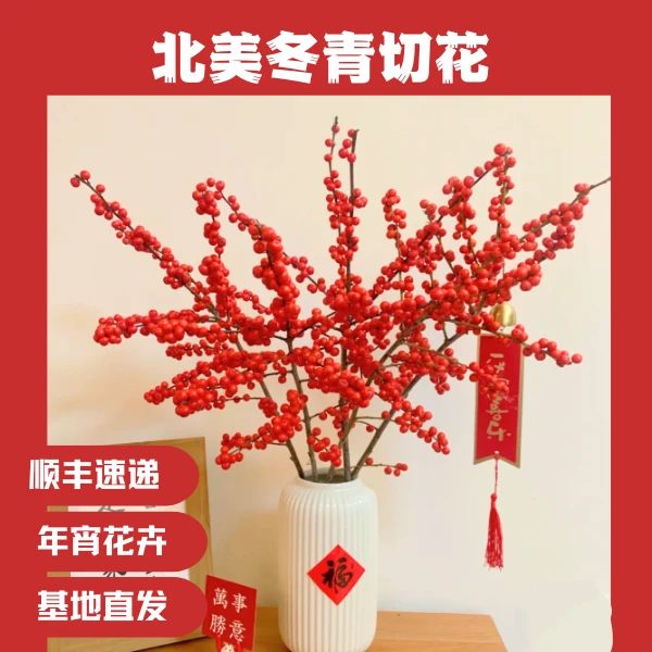【买5支送5支】50cm 北美冬青鲜花切枝 发财红果 水培 年宵喜庆