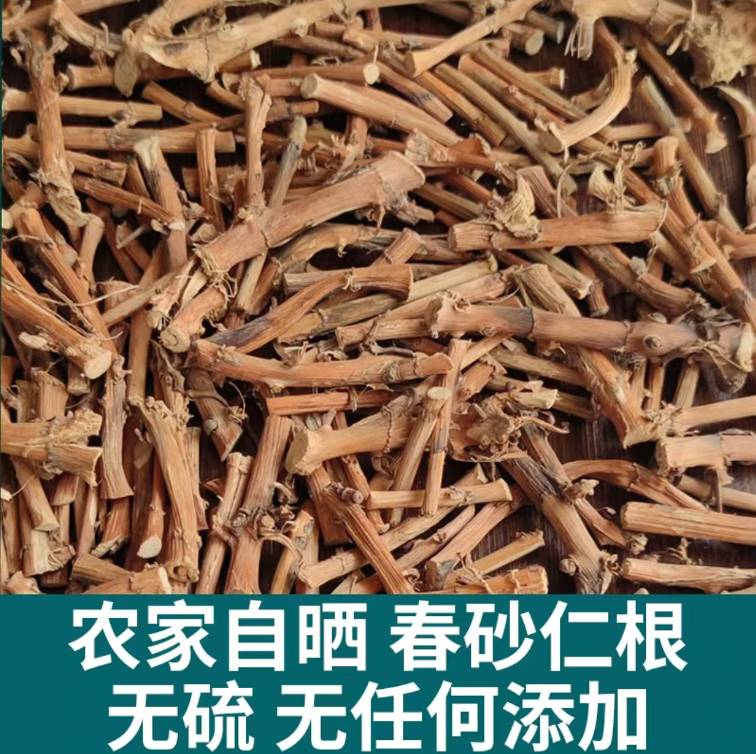 春砂仁根正宗春砂仁根煲鸡汤煲汤精选干货春砂仁