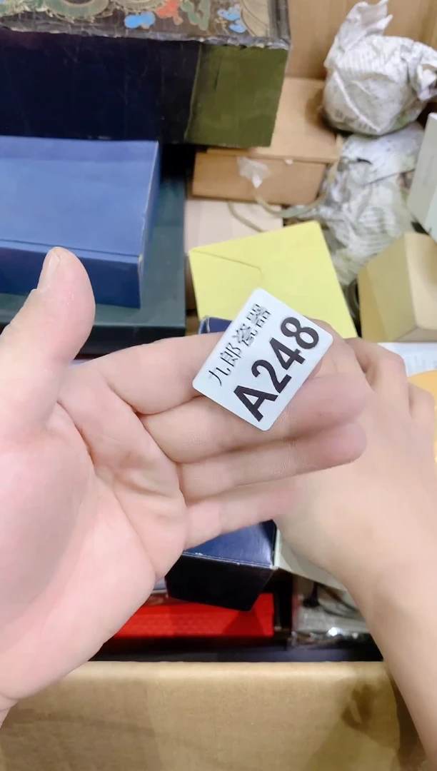 248 赵家大小姐 赵家大小姐 赵家