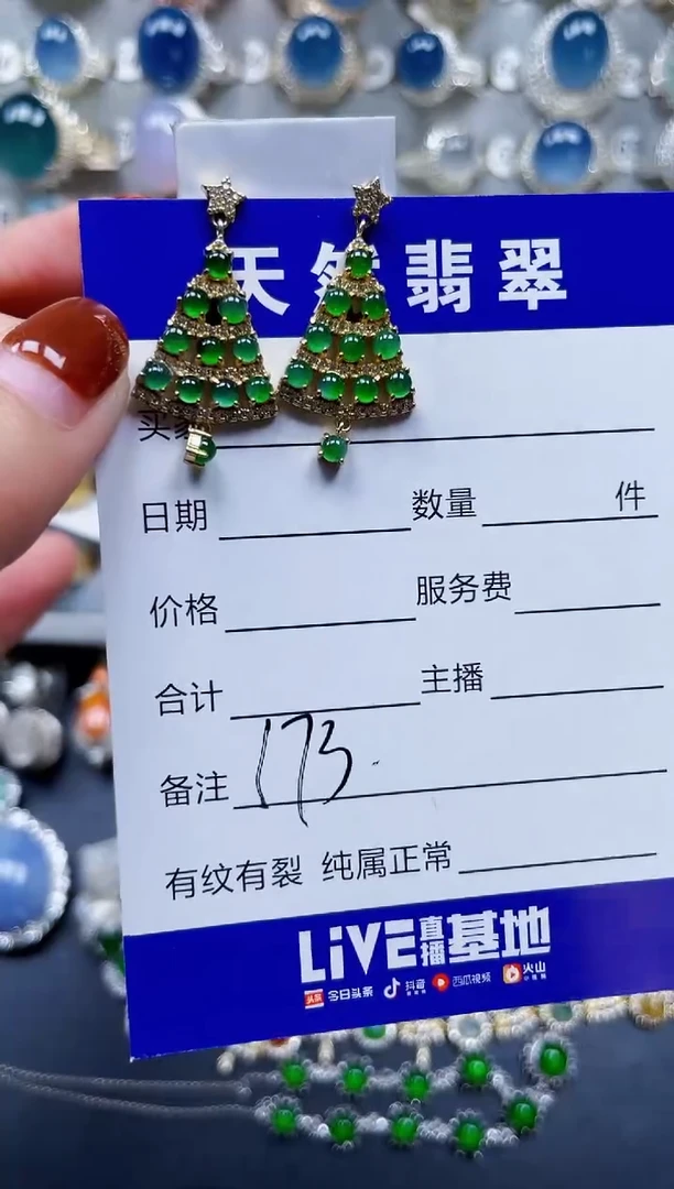 翡翠银S925镶嵌耳饰173