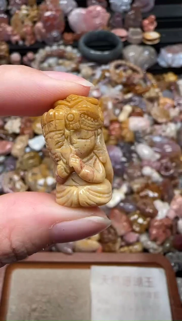 颈饰未镶嵌硅化珊瑚（珊瑚玉）480