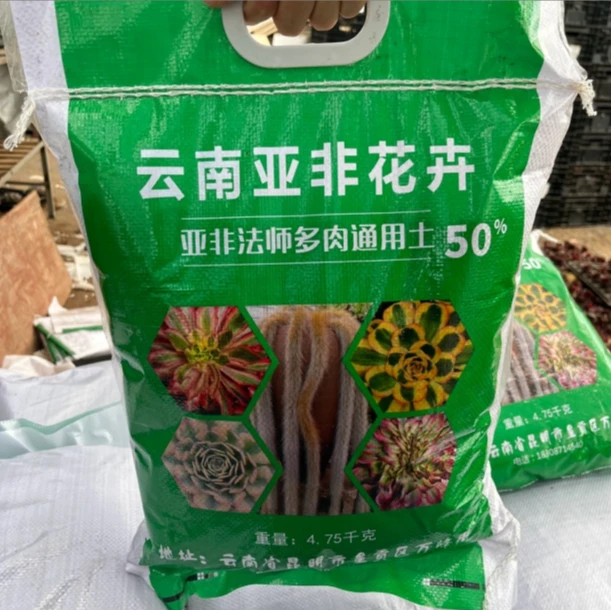 【单亲爸爸专属】亚非法师专用土