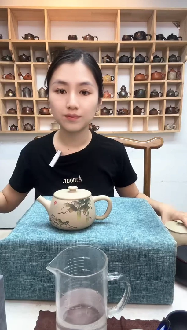 用****0星月玩壶建水紫陶