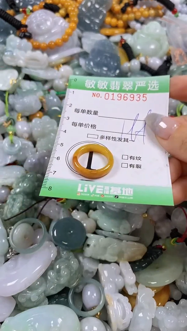 翡翠未镶嵌颈饰闪购0196935