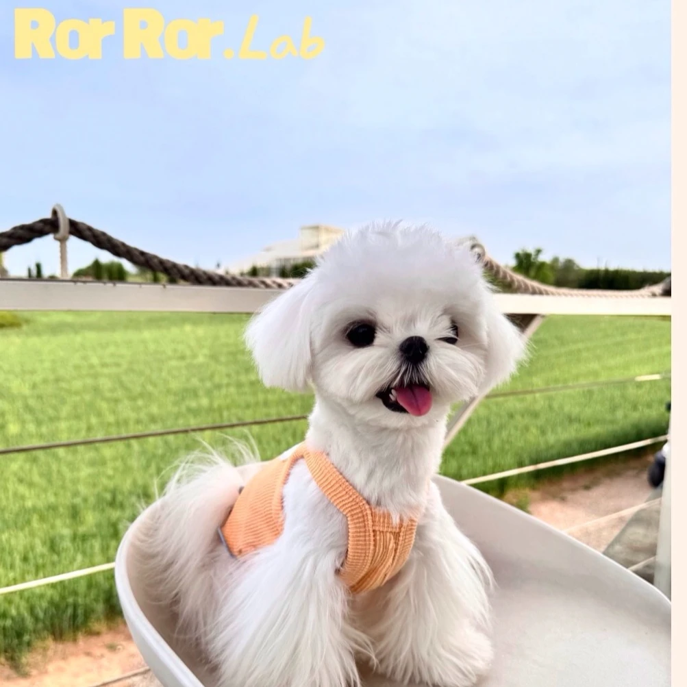 RorRor.Lab“果汁软糖”春夏轻薄透气花边小吊带宠物服饰猫咪狗狗服