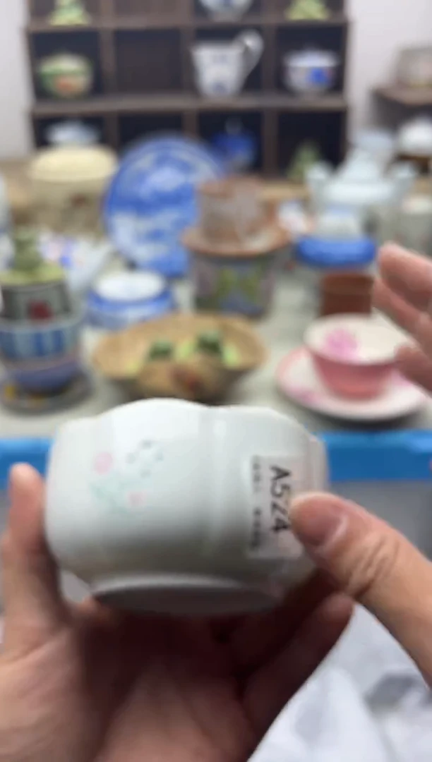 【闪购商品】碟524A...............