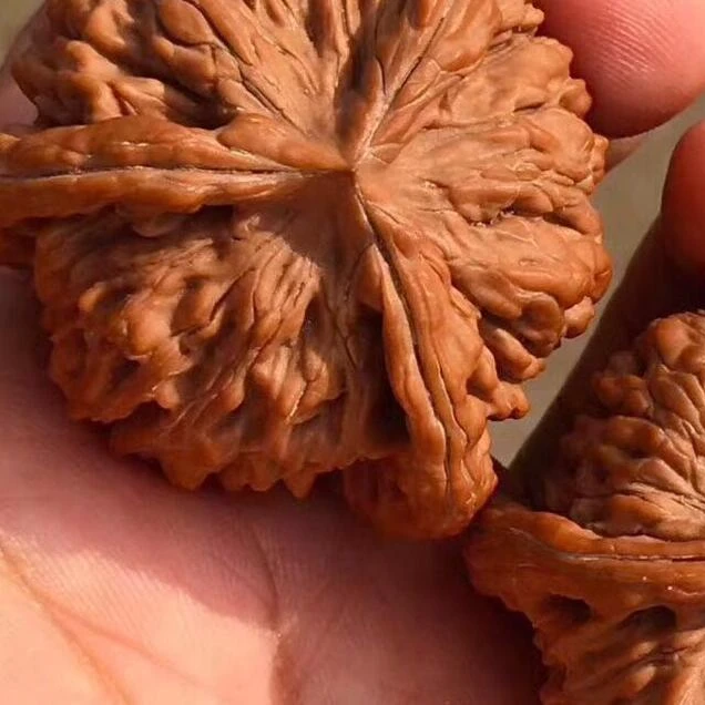 精品盘山三棱核桃文玩收藏佳品