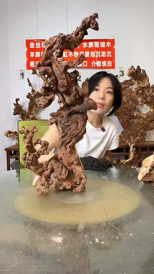 香榧木金丝红木  羊蹄甲