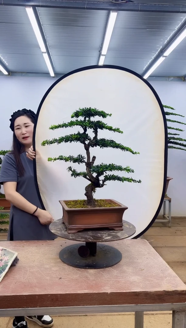 无花朵一物一拍，所见即所得