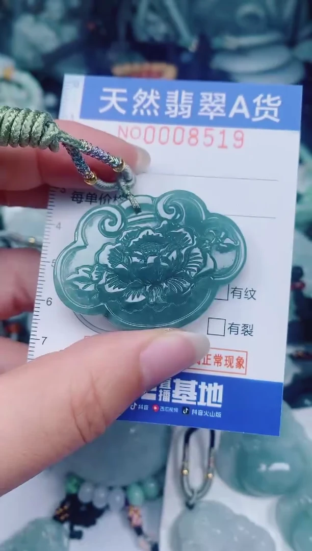 颈饰未镶嵌翡翠00008519