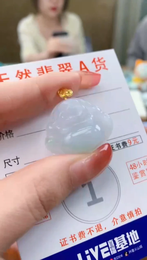 颈饰未镶嵌翡翠天然A货翡翠挂件