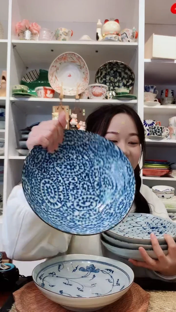 陶瓷bloom染付绘变盘21cm