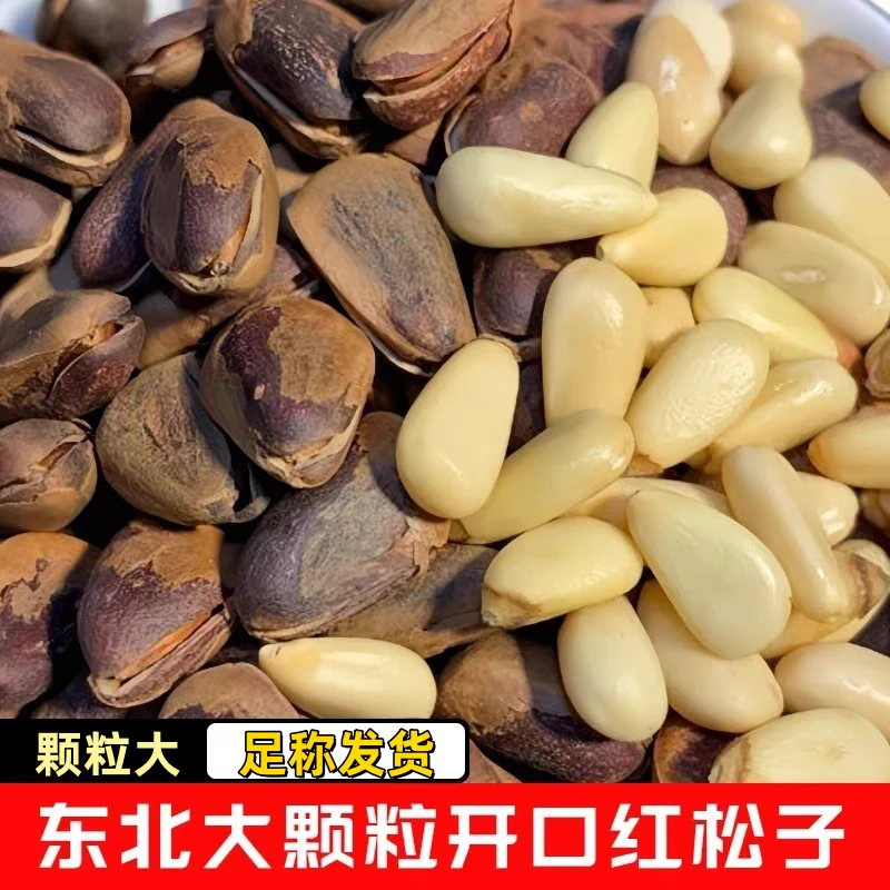 2025年新货长白山野生开口松子东北特产红松子大颗粒熟松子