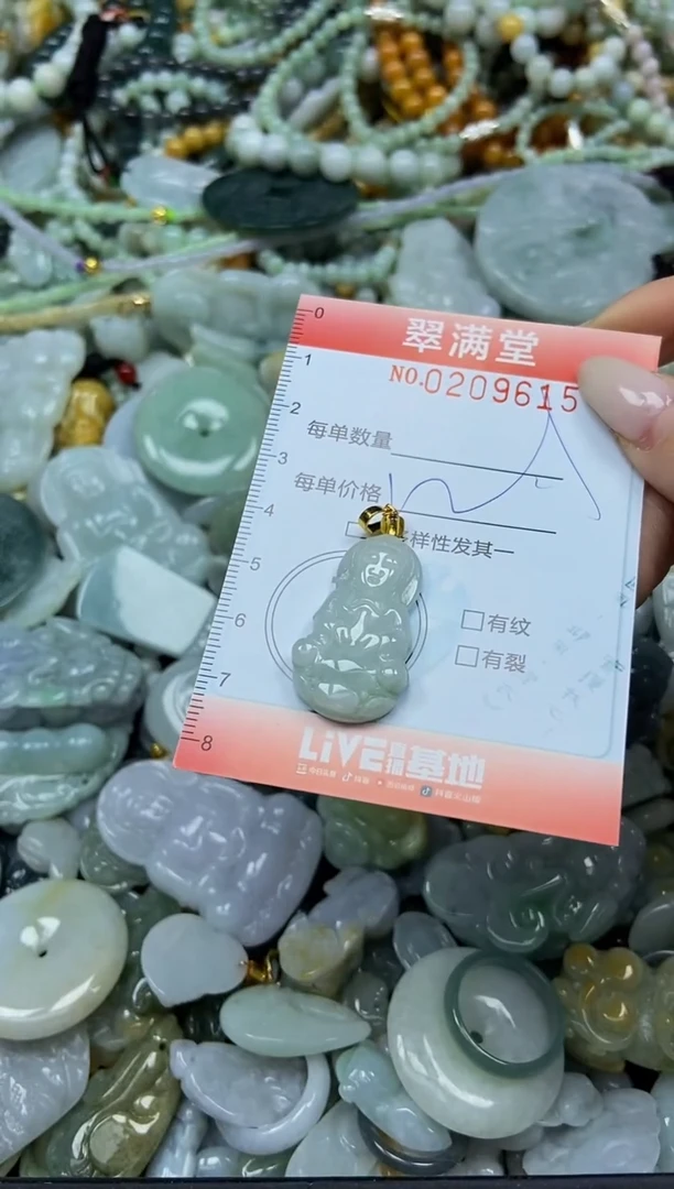 颈饰未镶嵌翡翠闪购0209615