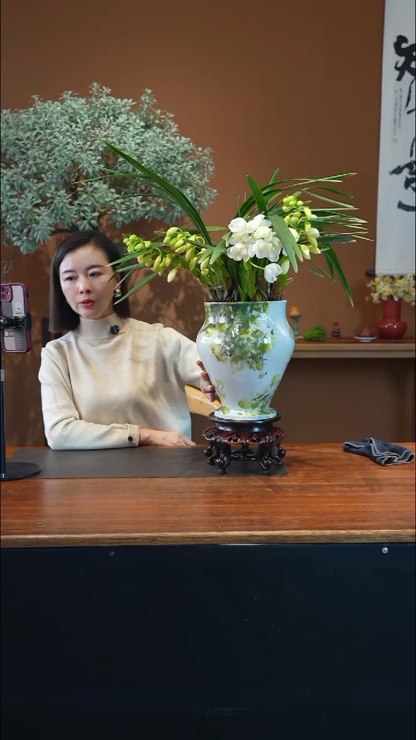 全部花朵玉兔盆景盆景