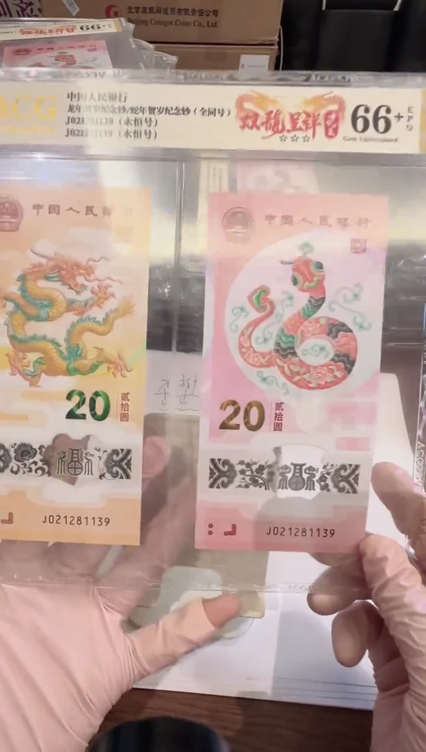 塑料2024龙蛇全同号一对啊啊啊啊