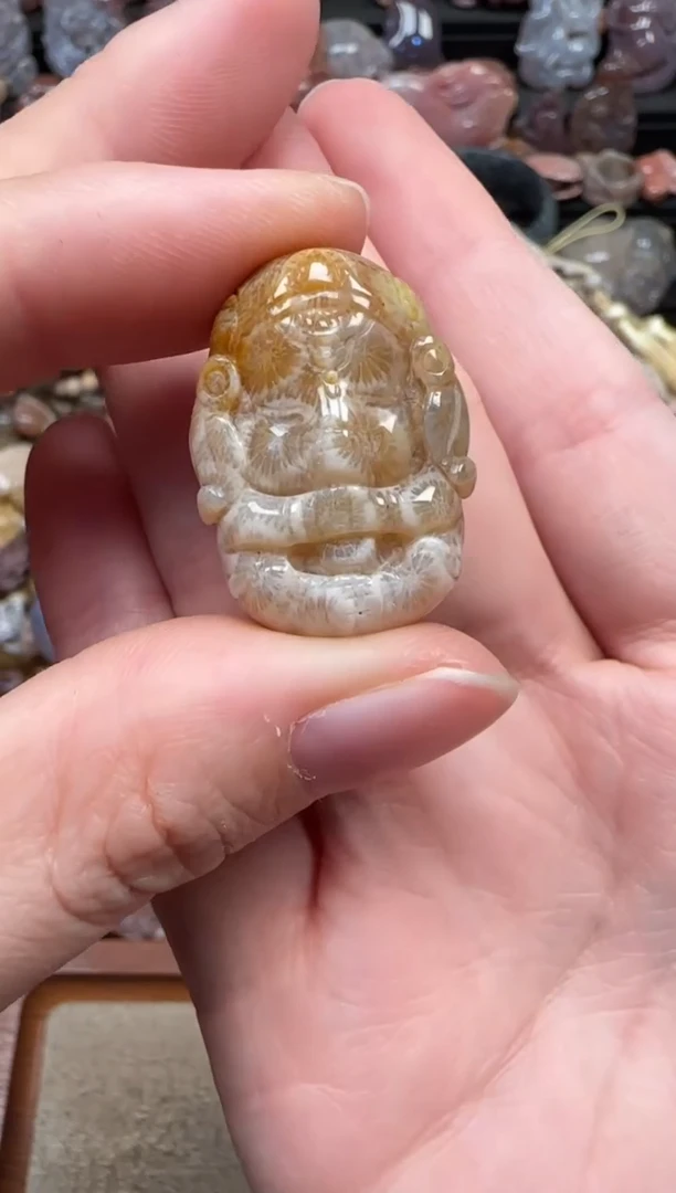 颈饰未镶嵌硅化珊瑚（珊瑚玉）484