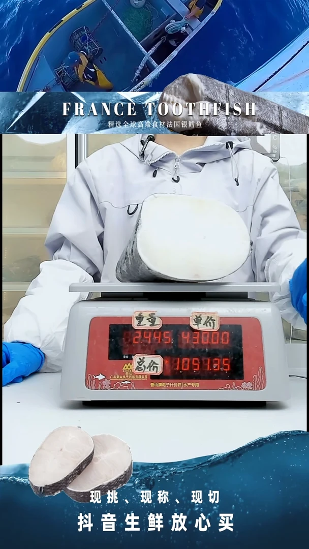 法国银鳕鱼大鱼下半条2.44KG