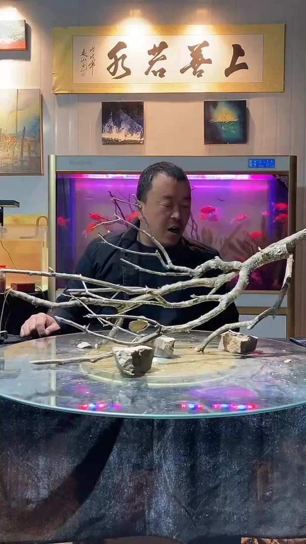 163号天然黄梨枝一组长74适合80-90缸