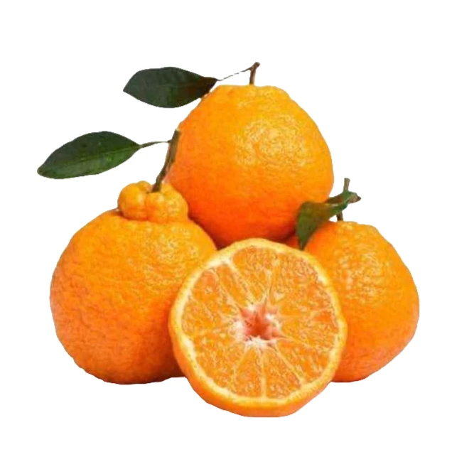 【福利速抢】3斤精品耙耙柑九分甜一分酸不加蜜