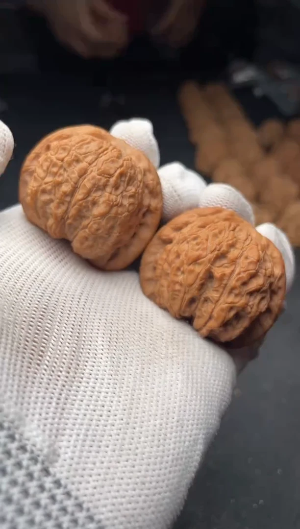 核桃a26  血麒麟 41尺